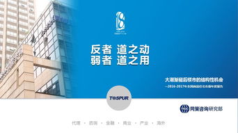 同策房产咨询股份 专业引领，赋能中国房地产咨询新时代